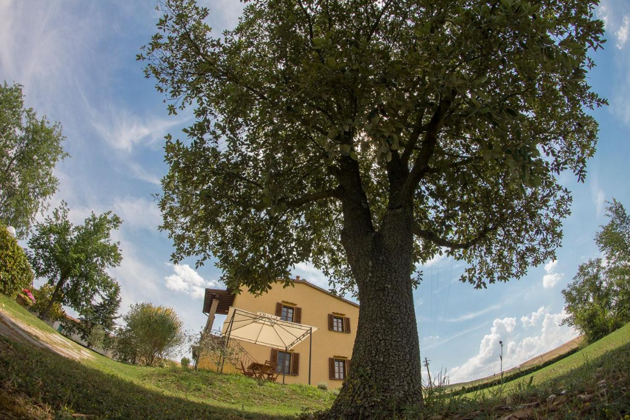 Agriturismo San Giuseppe Volterra Exterior photo